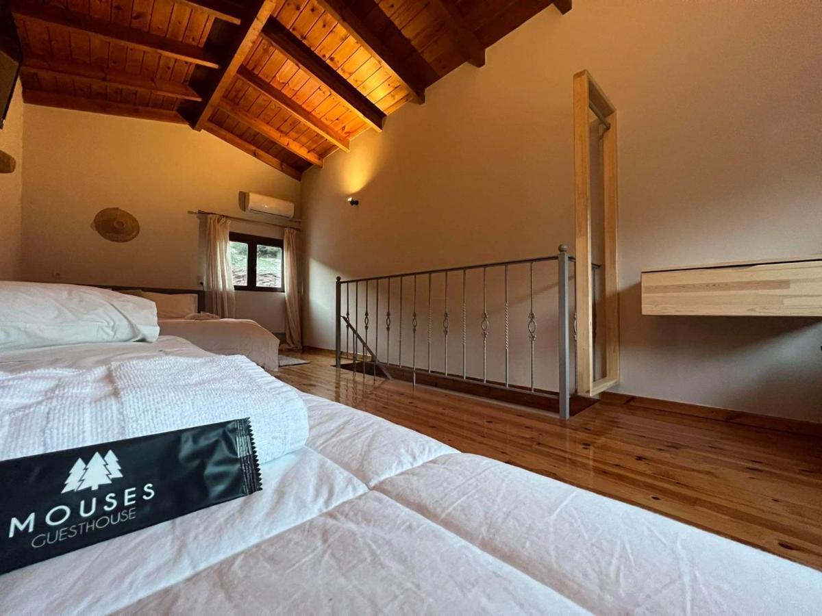 Guesthouse Mouses Kalavryta Buitenkant foto